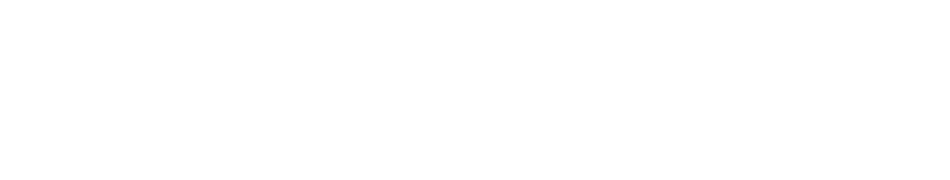 Seismic